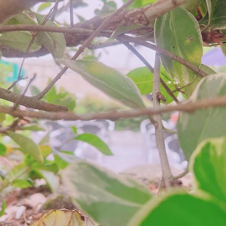 Hotel Marea Poio Dış mekan fotoğraf